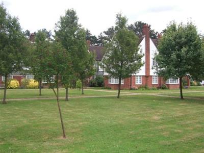 Picture 11